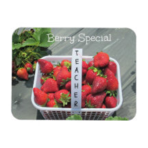 Berry Special Teacher Magnets