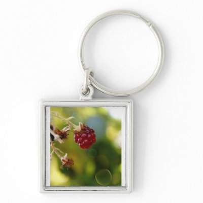 Berry Sweet Key Chains by TheLifeOfJade