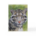 Berry's Clouded Leopard cards