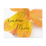 Berta Postcards