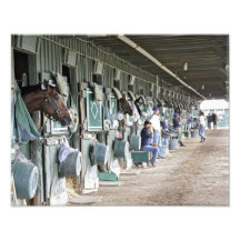 Bertram Firestone Stables Photograph