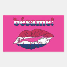 Bésame! in American Flag Colours Rectangular Stickers