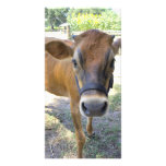 Bessie Photo Card