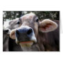 Bessy Says Hi Greeting Card