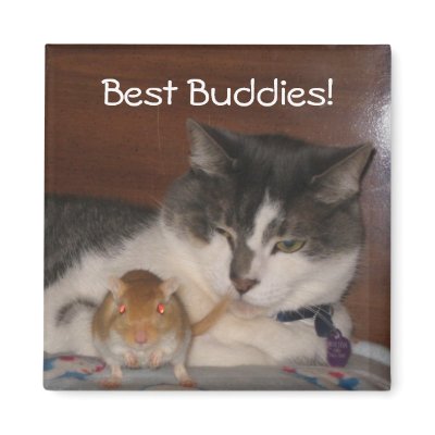 Best Buddies 2" Magnet by OurSouthernCharm