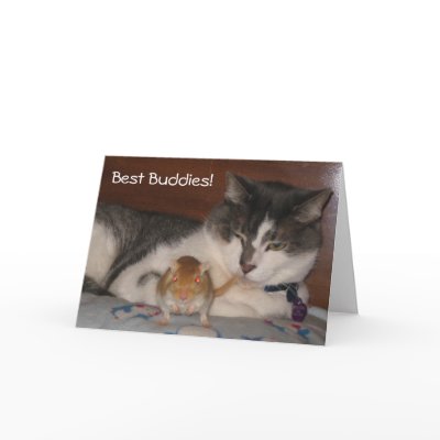 Best Buddies Friendship Card by OurSouthernCharm