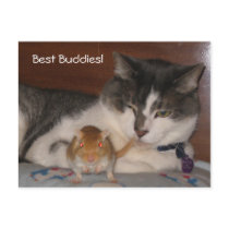 Best Buddies Postcard