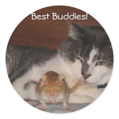 Best Buddies Stickers by OurSouthernCharm