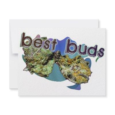 Best Buds by captainjoekickass