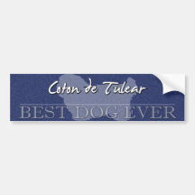 Best Dog Coton de Tulear Bumper Sticker
