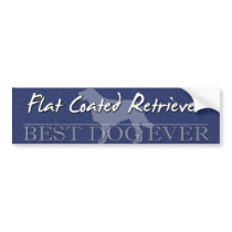 Best Dog Flat Coated Retriever Bumper Sticker
