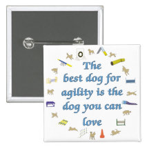 Best Dog For Agility Pin