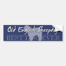 Best Dog Old English Sheepdog Bumper Sticker