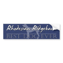 Best Dog Rhodesian Ridgeback Bumper Sticker