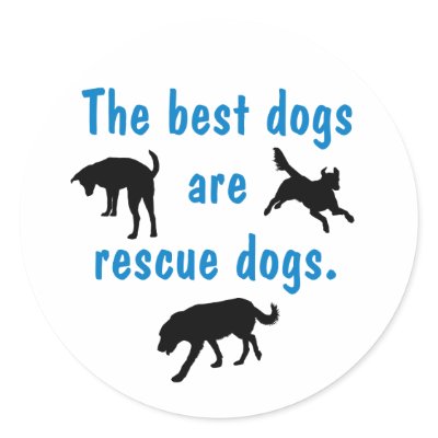 Best Dogs Sticker by dogplay