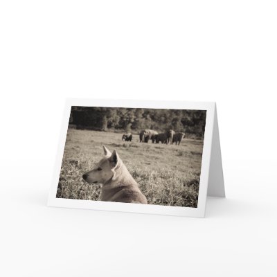 Best Frieds - Dog & Elephants Card by lokanin