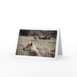 Best Frieds - Dog & Elephants Card
