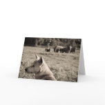 Best Frieds - Dog & Elephants Greeting Cards