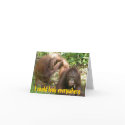 Best Friend Funny  Valentines cards