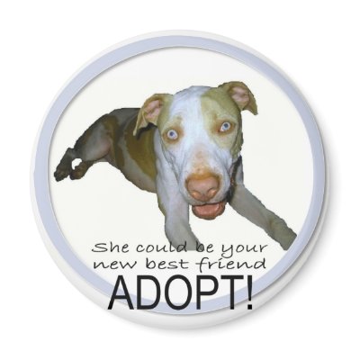 best friend magnet by rescueadog