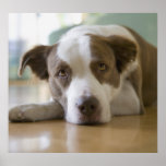Best Friend posters