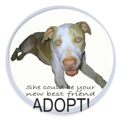 best friend sticker by rescueadog