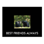 BEST FRIENDS ALWAYS POSTCARD
