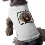 Best Friends are Swingers pet clothing