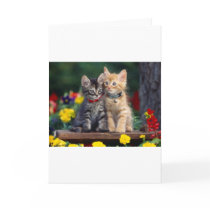 Best Friends Cards