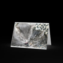 Best Friends cards