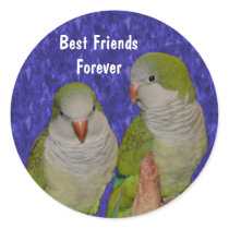 Best Friends Cute Birds Friendship Sticker