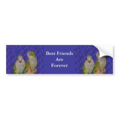 Best Friends Forever Cute Birds Bumper Sticker by SmilinEyesTreasures