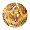 Best Friends Forever! magnet Orange Lily Flowers