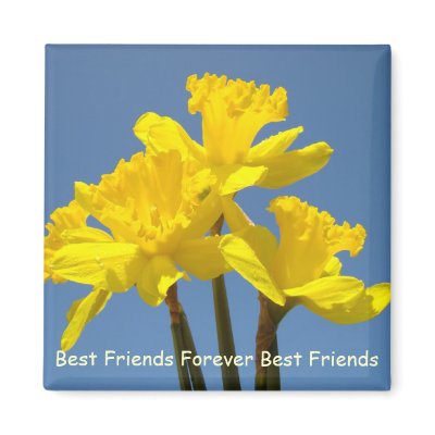 Best Friends Forever magnets Best Friend s by Basleeartprintgifts