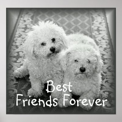 Best Friends Forever Poster Print by mvdesigns