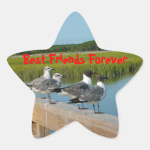 Best Friends Forever Stickers