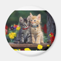 Best Friends Fridge Magnets