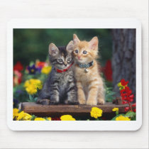Best Friends Mouse Pad