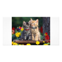 Best Friends Photo Card Template