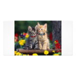 Best Friends photo cards