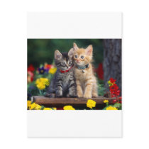 Best Friends Post Cards