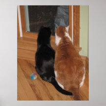 Best Friends Poster