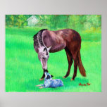 Best Friends Quarter Horse Australian Cattle Dog
