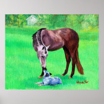 Best Friends Quarter Horse Australian Cattle Dog