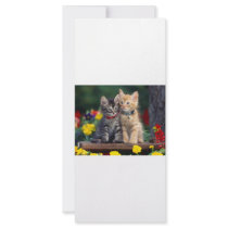 Best Friends Rack Card Template