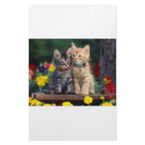 Best Friends Customized Stationery