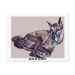 BEST OF BUDDIES POST CARDS