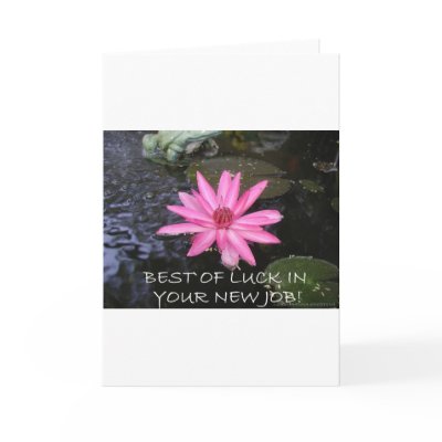 BEST OF LUCK IN YOUR NEW JOB GREETING CARDS by LOOSIELUCY
