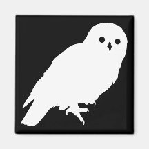 Best Price White Barn Owl Magnets