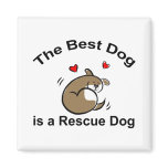 Best Rescue Dog Refrigerator Magnets